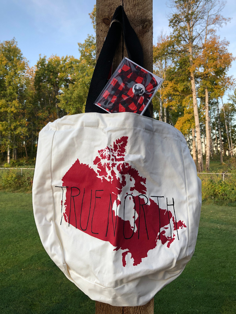 Tasche Gewinn 2019