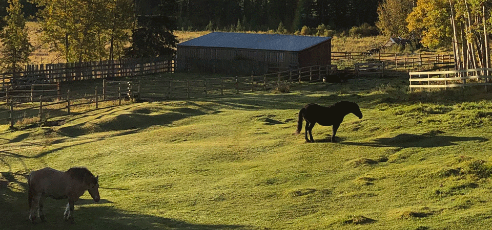 Herbst - Autorin Natascha Birovljev