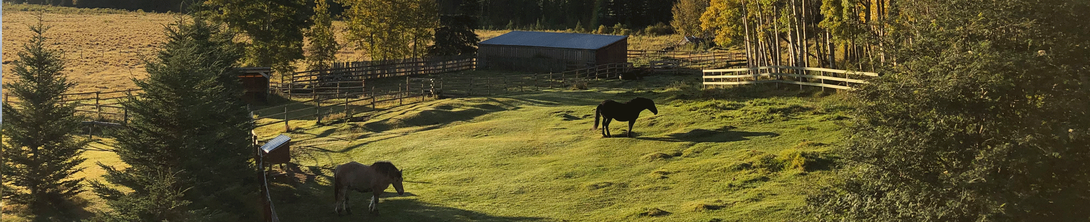 Herbst - Autorin Natascha Birovljev