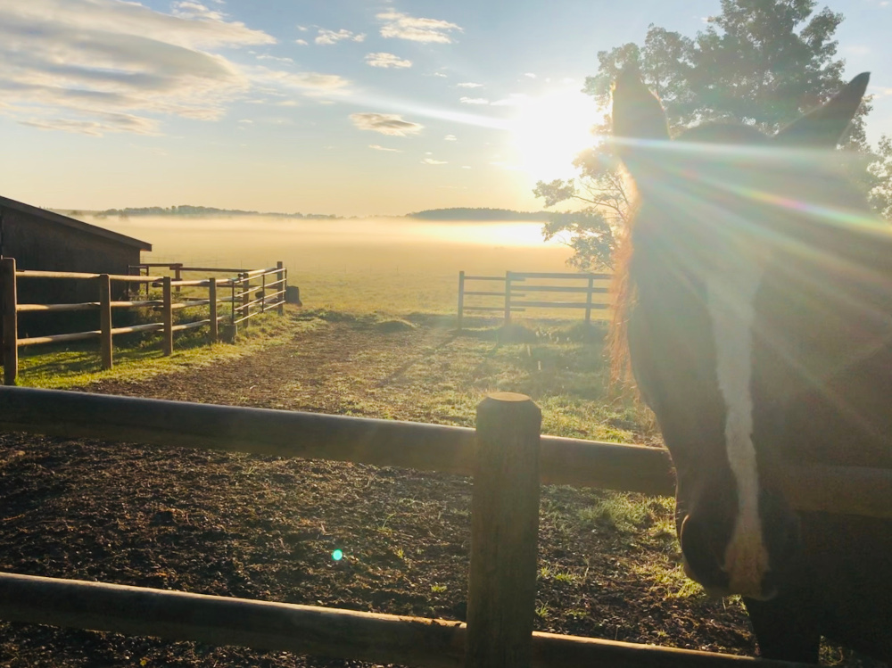 Herbst auf der Ranch