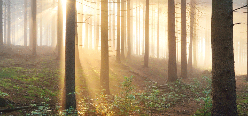 Transformationsreise