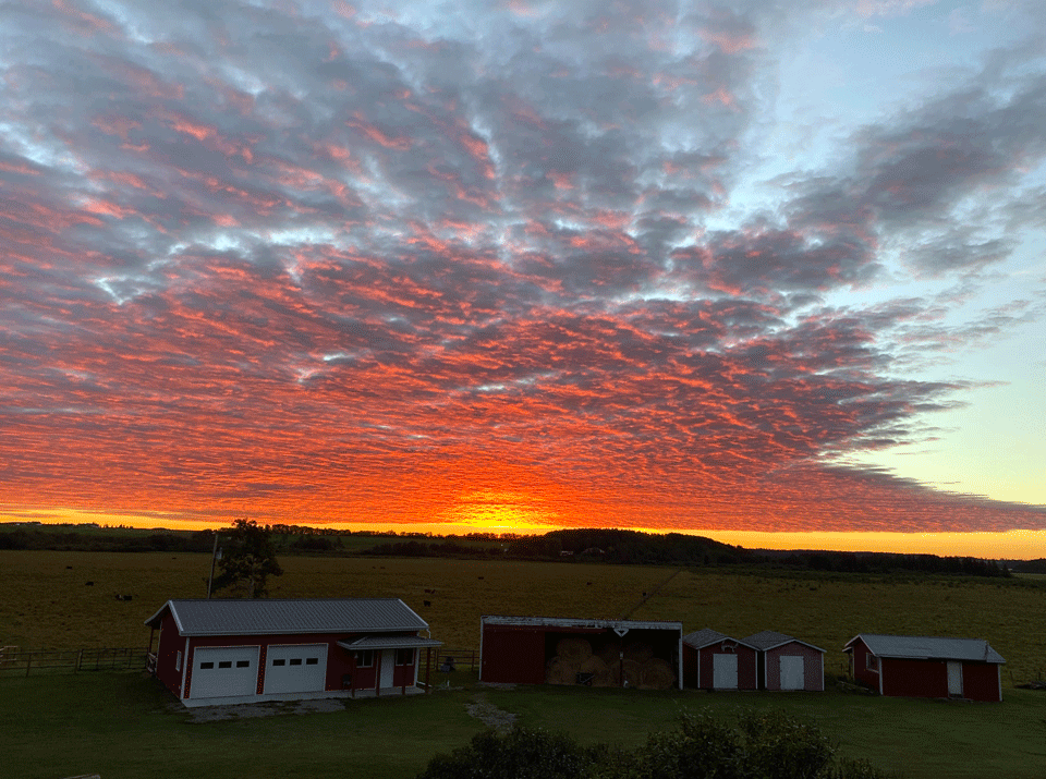 Autorin-aus-Kanada-Natascha-Sonnenaufgang