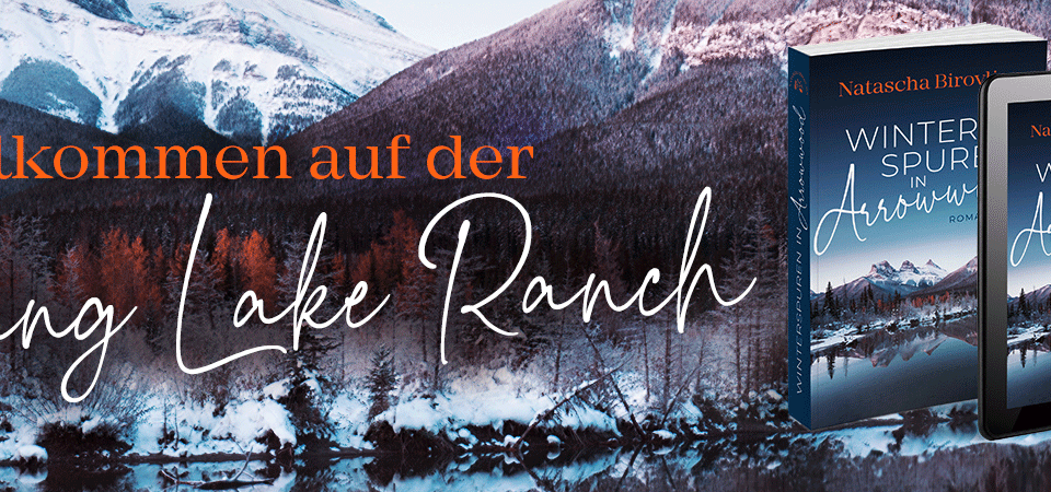 Winterspuren in Arrowwood