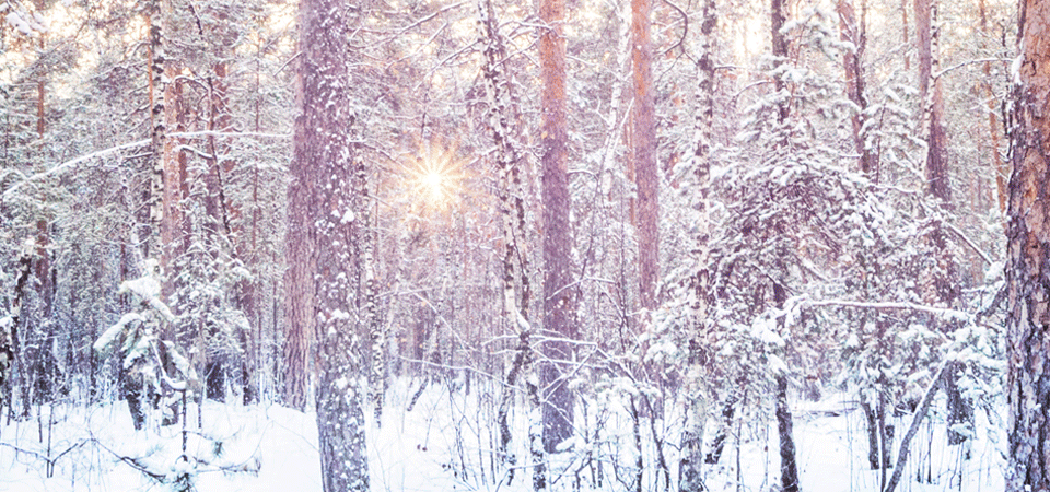 Wintersonnenwende in Arrowwood