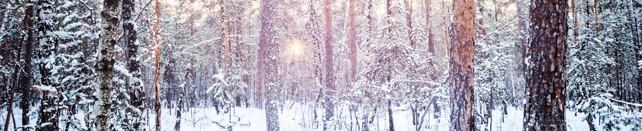 Wintersonnenwende in Arrowwood