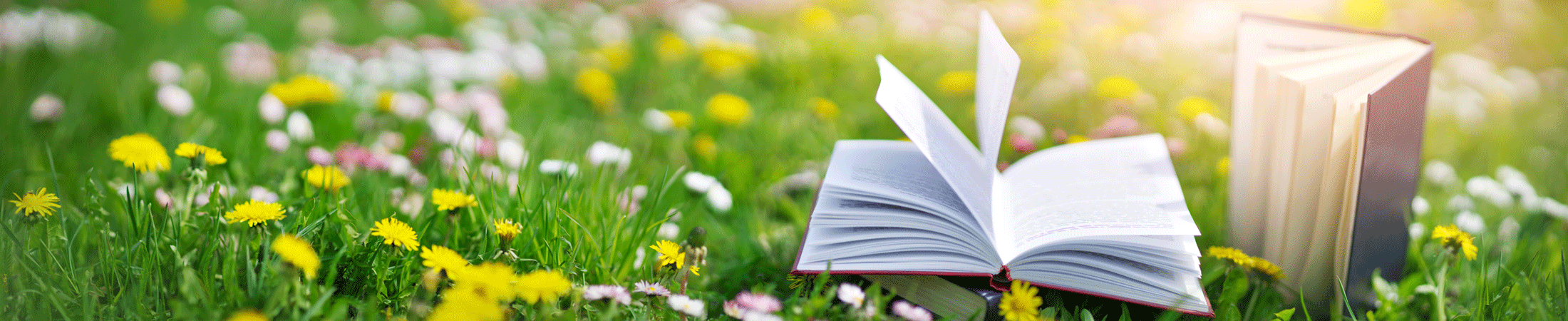 Inspiration Medizinrad