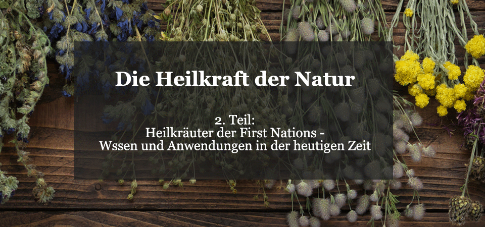 Heilkräuter der First Nations
