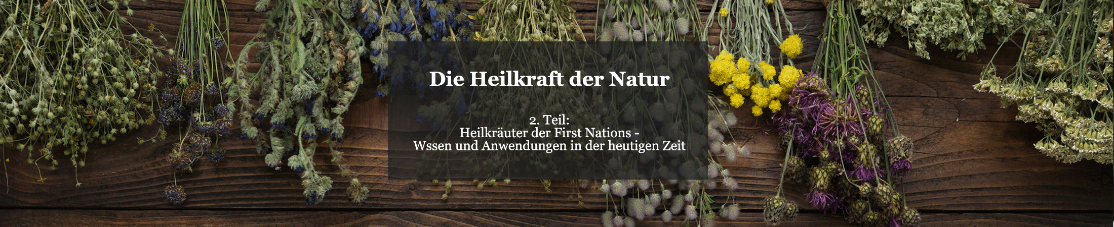 Heilkräuter der First Nations