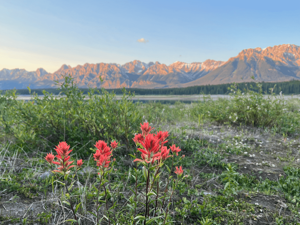 Kananaskis - Peter Loughheed Provicial Park