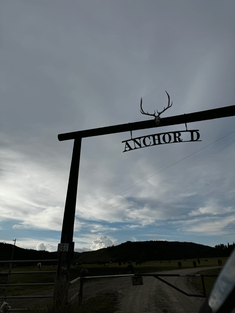 Anchor D Ranch