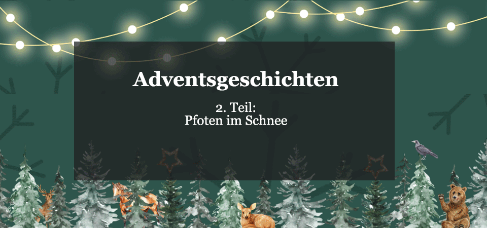 Kurzgeschichte Advent