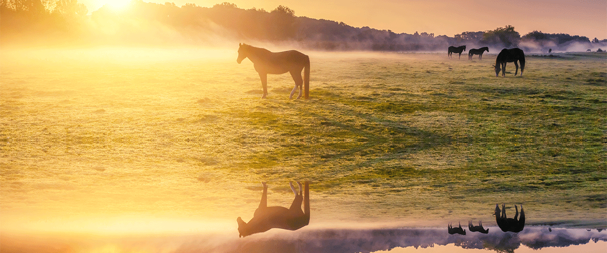 Hörbücher - Sleeping Lake Ranch