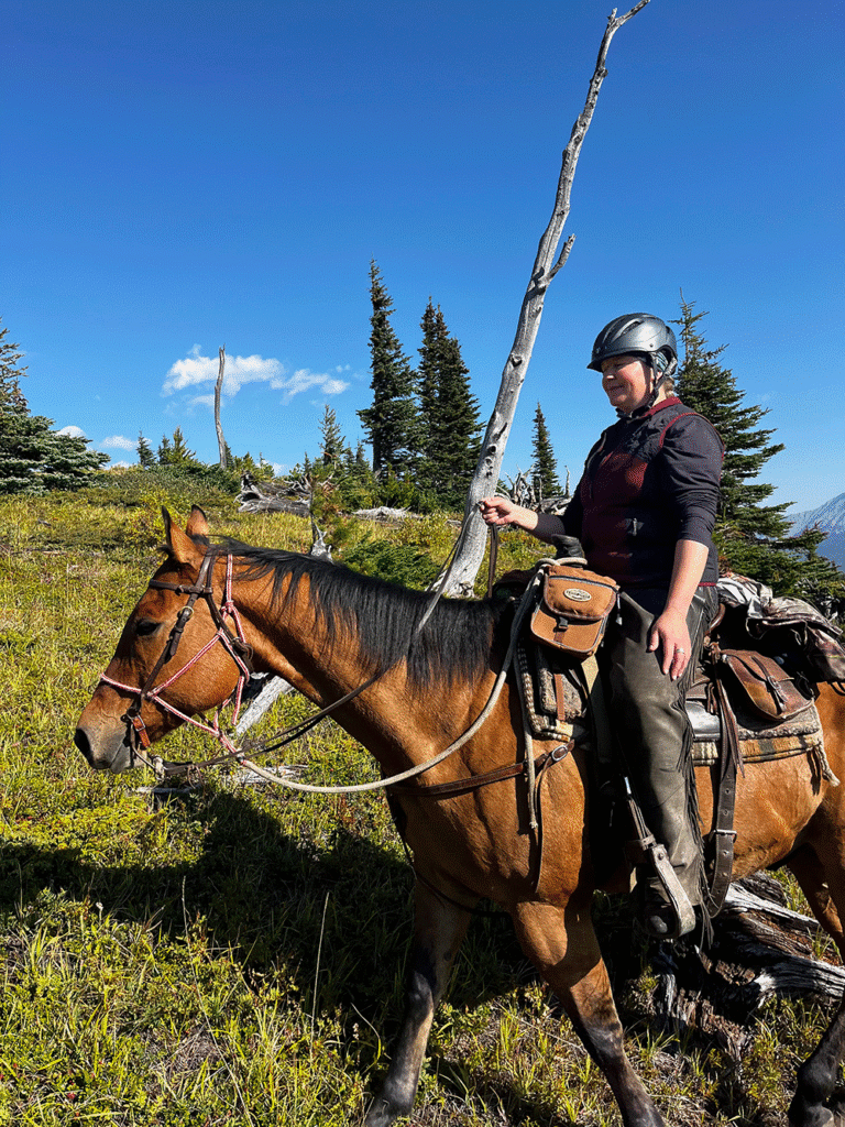 Trailreiten Kananaskis