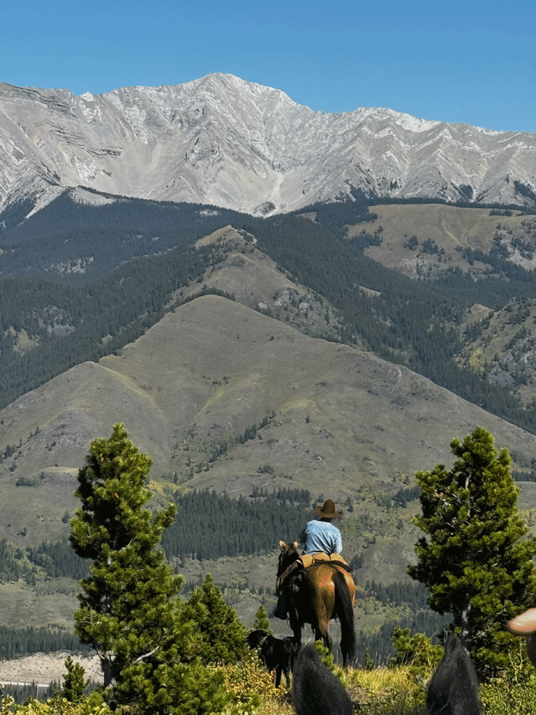 Trailreiten Kananaskis