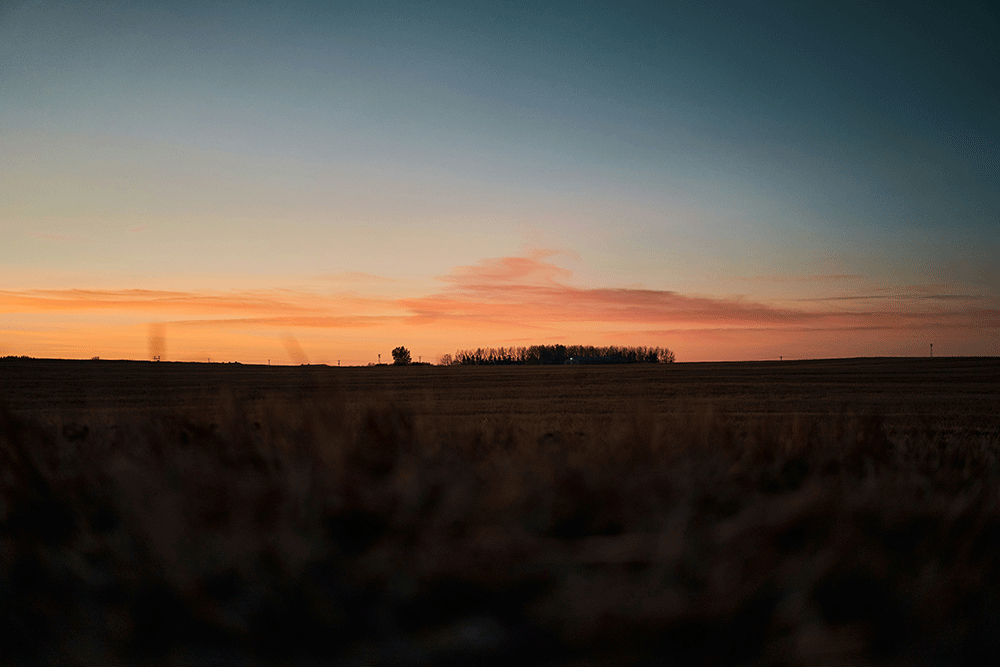 Willow Ranch - Romane aus Kanada