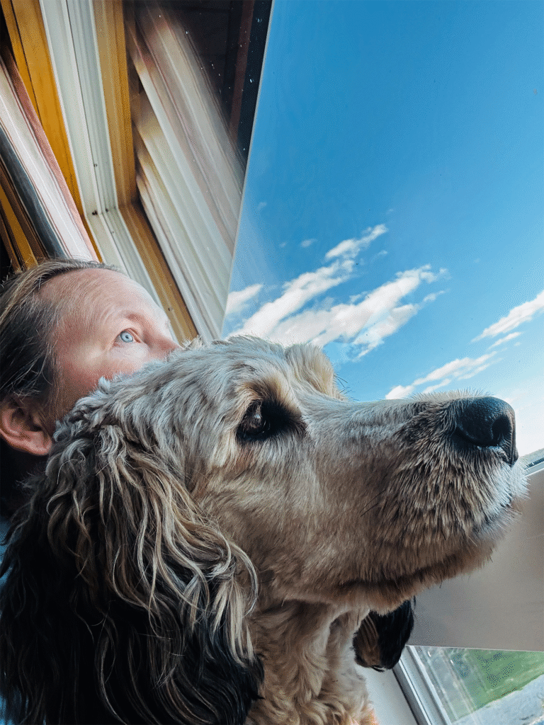 Tiere in Romanen